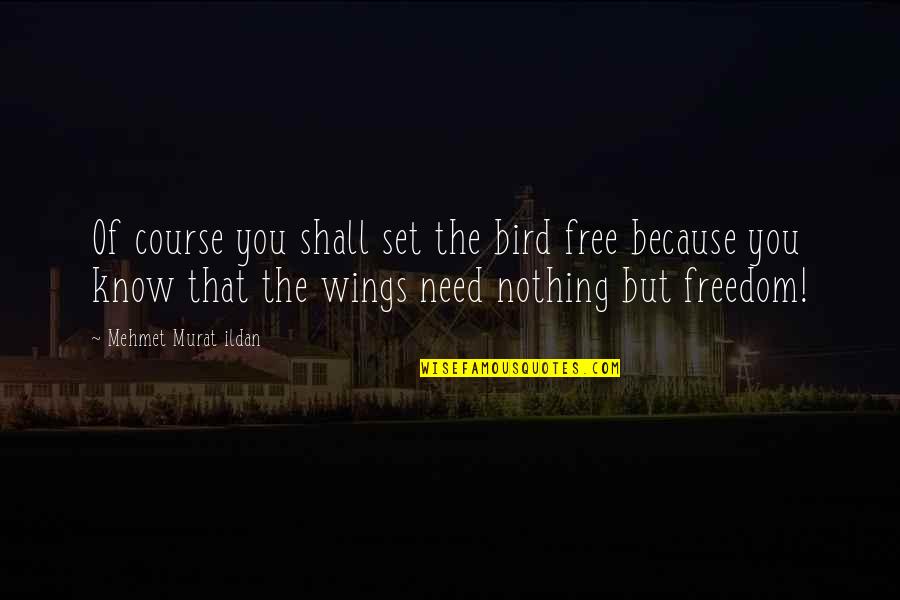 Be A Free Bird Quotes By Mehmet Murat Ildan: Of course you shall set the bird free