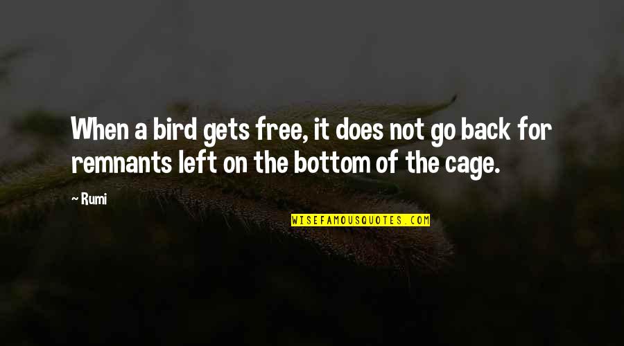 Be A Free Bird Quotes By Rumi: When a bird gets free, it does not
