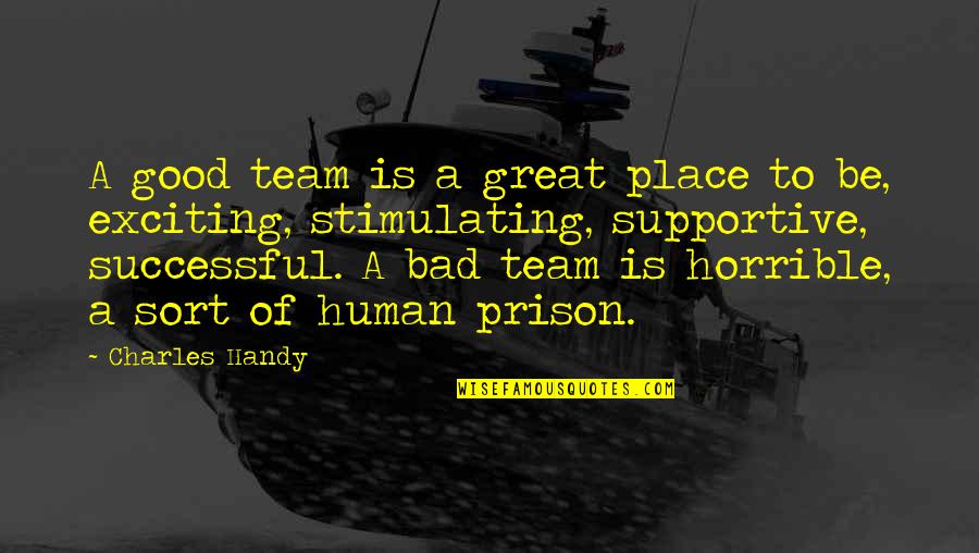 Be A Good Human Quotes By Charles Handy: A good team is a great place to