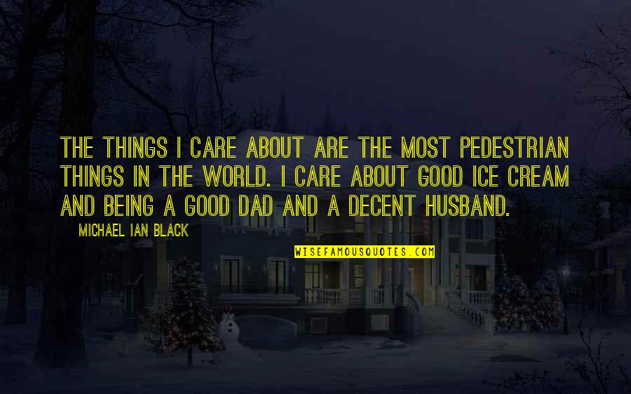 Be A Good Husband Quotes By Michael Ian Black: The things I care about are the most