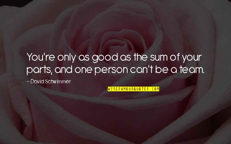 Be A Good Person Quotes By David Schwimmer: You're only as good as the sum of