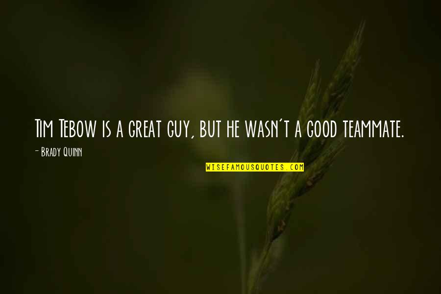 Be A Good Teammate Quotes By Brady Quinn: Tim Tebow is a great guy, but he Be A Good Teammate Quotes By Brady Quinn: Tim Tebow is a great guy, but he
