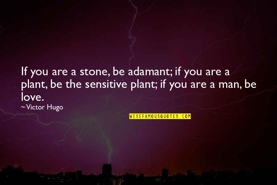 Be A Man Love Quotes By Victor Hugo: If you are a stone, be adamant; if