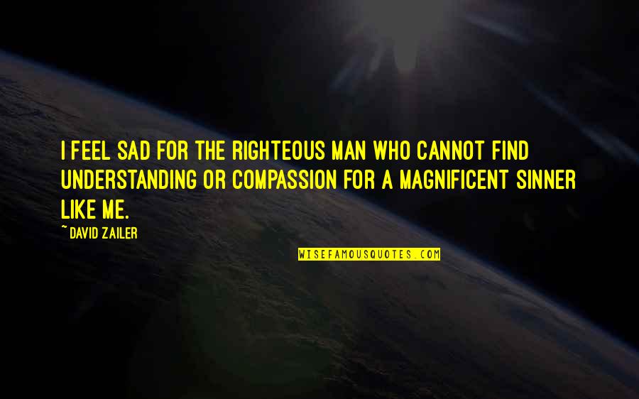 Be A Man Sad Quotes By David Zailer: I feel sad for the righteous man who