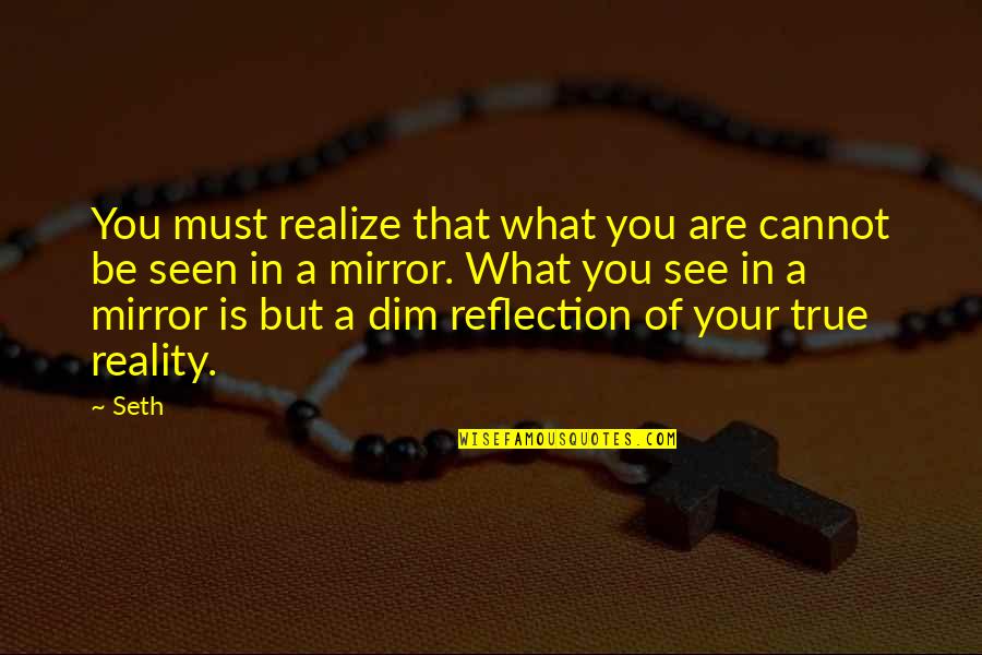 Be A Reflection Quotes By Seth: You must realize that what you are cannot