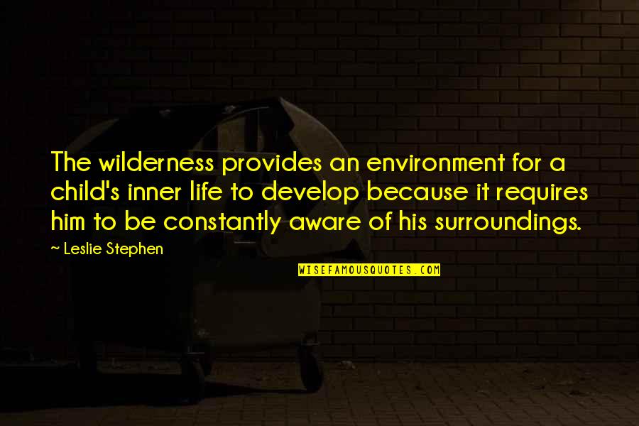 Be Aware Of Inner Child Quotes By Leslie Stephen: The wilderness provides an environment for a child's