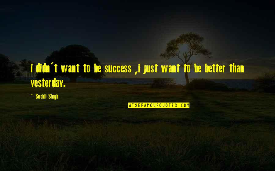 Be Better Than Yesterday Quotes By Sushil Singh: i didn't want to be success ,i just