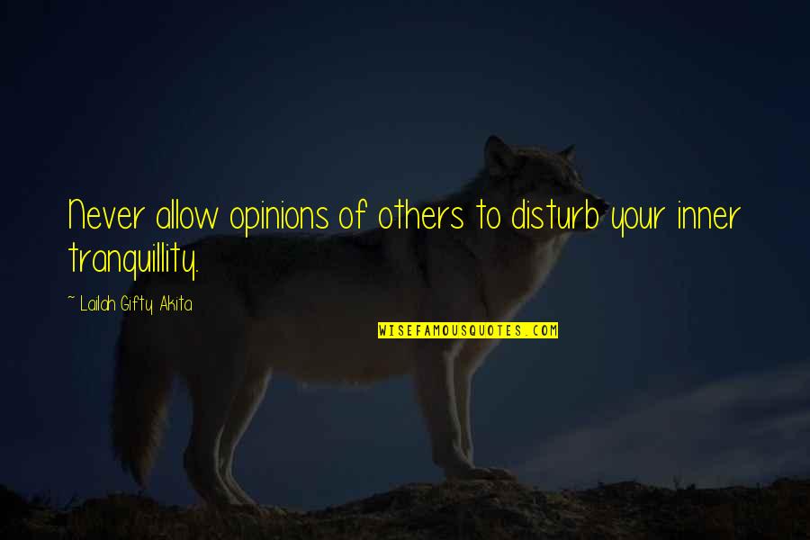 Be Calm Peace Quotes By Lailah Gifty Akita: Never allow opinions of others to disturb your