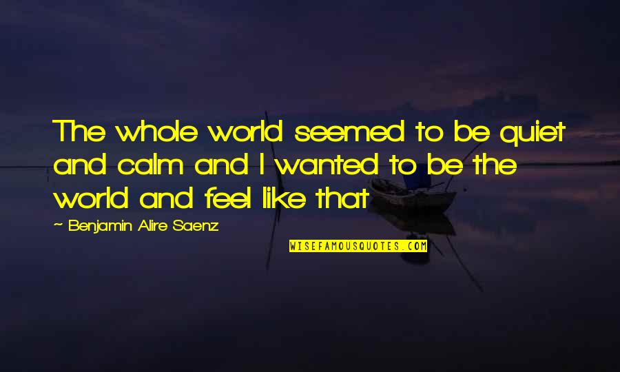 Be Calm Quotes By Benjamin Alire Saenz: The whole world seemed to be quiet and