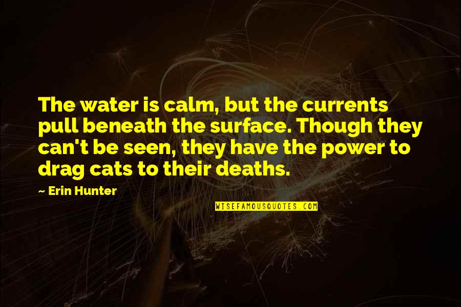 Be Calm Quotes By Erin Hunter: The water is calm, but the currents pull