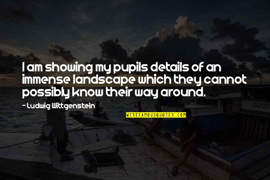 Be Careful Before You Lose Me Quotes By Ludwig Wittgenstein: I am showing my pupils details of an Be Careful Before You Lose Me Quotes By Ludwig Wittgenstein: I am showing my pupils details of an