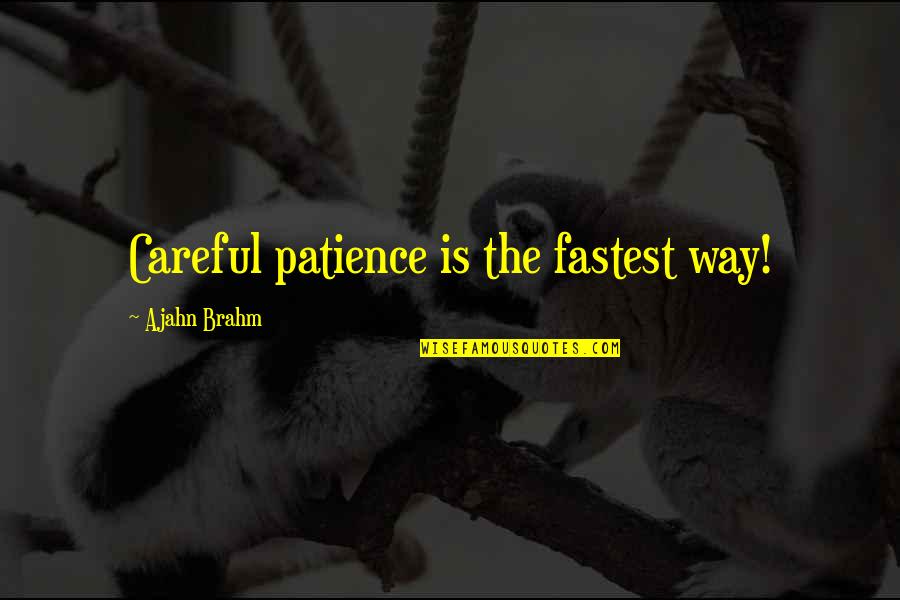Be Careful On Your Way Up Quotes By Ajahn Brahm: Careful patience is the fastest way!