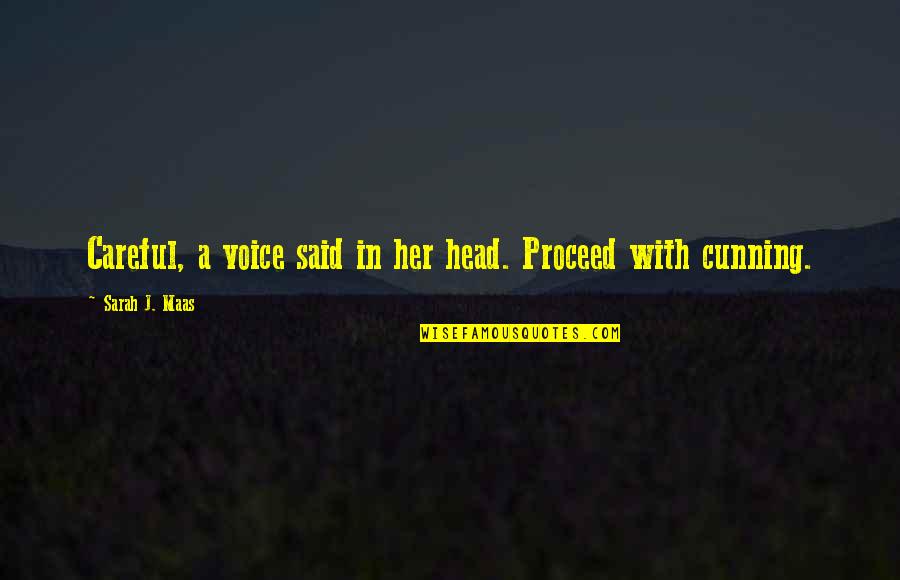 Be Careful With Her Quotes By Sarah J. Maas: Careful, a voice said in her head. Proceed