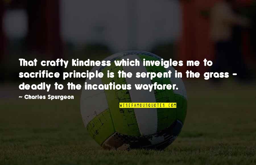 Be Crafty Quotes By Charles Spurgeon: That crafty kindness which inveigles me to sacrifice