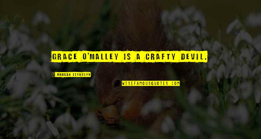 Be Crafty Quotes By Morgan Llywelyn: Grace O'Malley is a crafty devil.