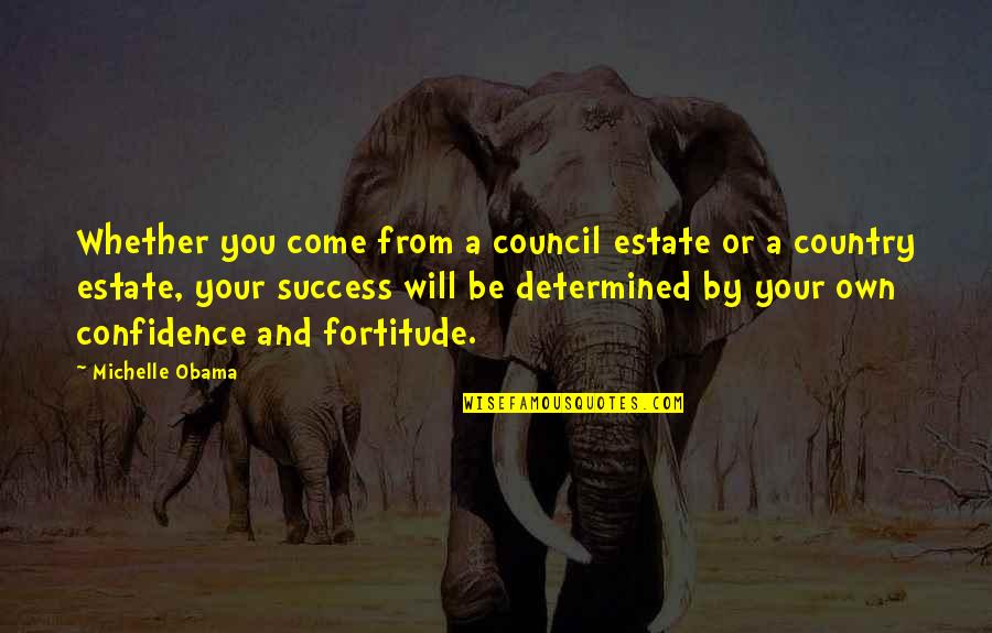 Be Determined Quotes By Michelle Obama: Whether you come from a council estate or