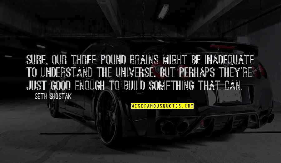 Be Good Enough Quotes By Seth Shostak: Sure, our three-pound brains might be inadequate to Be Good Enough Quotes By Seth Shostak: Sure, our three-pound brains might be inadequate to