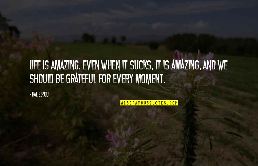 Be Grateful Life Quotes By Hal Elrod: Life is amazing. Even when it sucks, it