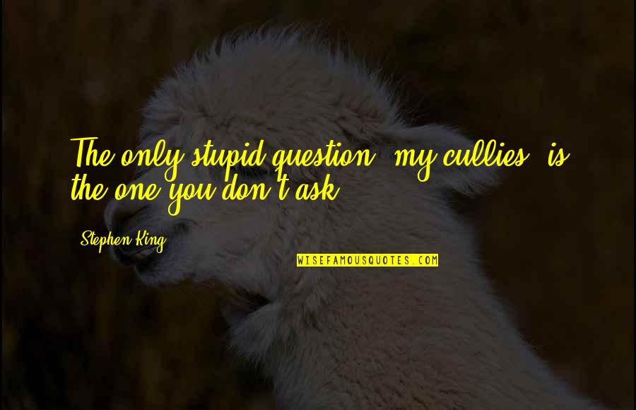 Be Happy Regardless Quotes By Stephen King: The only stupid question, my cullies, is the