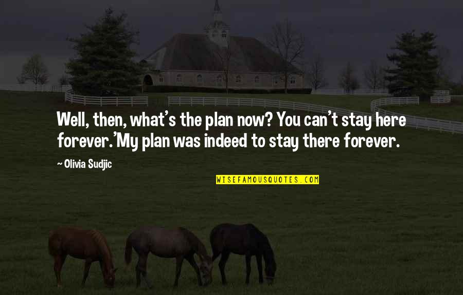 Be Here Forever Quotes By Olivia Sudjic: Well, then, what's the plan now? You can't