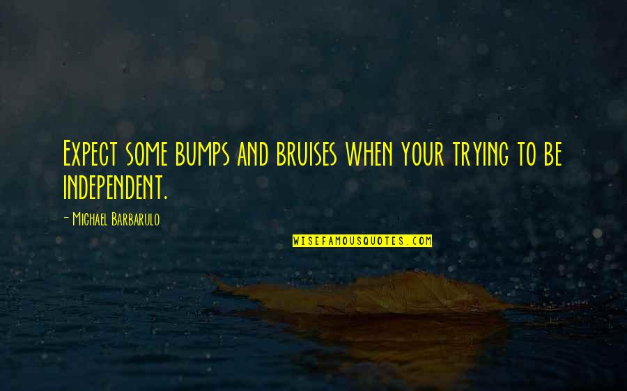 Be Independent Quotes By Michael Barbarulo: Expect some bumps and bruises when your trying
