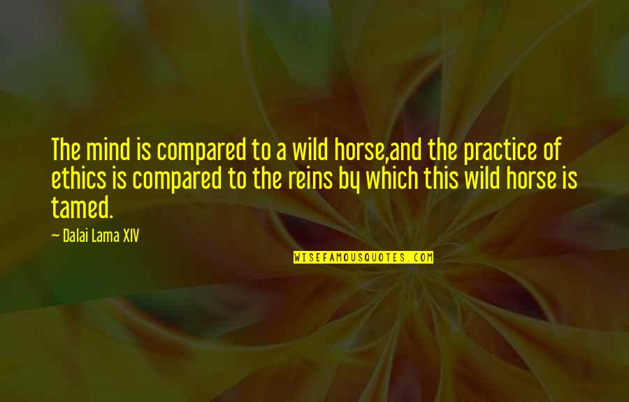 Be Intangible Resources Quotes By Dalai Lama XIV: The mind is compared to a wild horse,and Be Intangible Resources Quotes By Dalai Lama XIV: The mind is compared to a wild horse,and