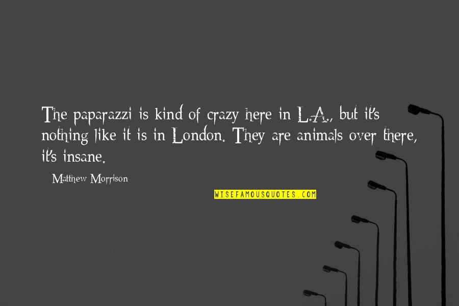 Be Kind To Animals Quotes By Matthew Morrison: The paparazzi is kind of crazy here in