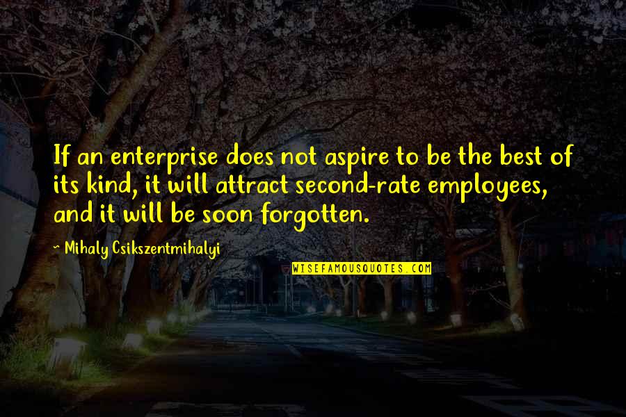 Be Kind To Your Employees Quotes By Mihaly Csikszentmihalyi: If an enterprise does not aspire to be