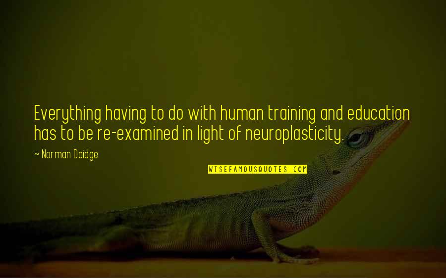 Be Light Quotes By Norman Doidge: Everything having to do with human training and