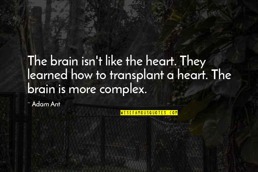 Be Like An Ant Quotes By Adam Ant: The brain isn't like the heart. They learned