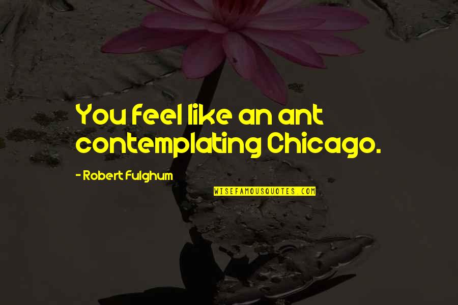 Be Like An Ant Quotes By Robert Fulghum: You feel like an ant contemplating Chicago.