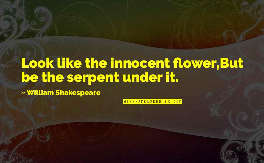 Be Like Flower Quotes By William Shakespeare: Look like the innocent flower,But be the serpent