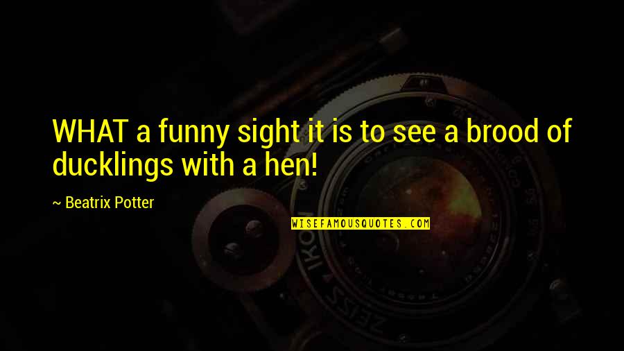 Be Like Hassan Quotes By Beatrix Potter: WHAT a funny sight it is to see Be Like Hassan Quotes By Beatrix Potter: WHAT a funny sight it is to see