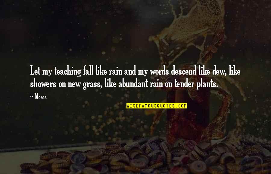 Be Like Plants Quotes By Moses: Let my teaching fall like rain and my Be Like Plants Quotes By Moses: Let my teaching fall like rain and my