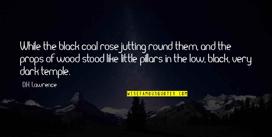 Be Like Rose Quotes By D.H. Lawrence: While the black coal rose jutting round them,