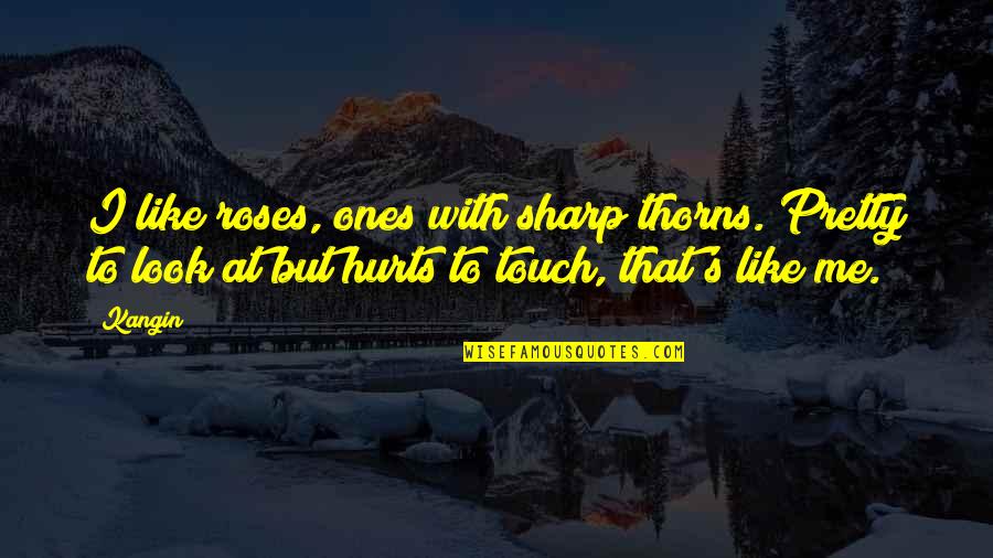 Be Like Rose Quotes By Kangin: I like roses, ones with sharp thorns. Pretty Be Like Rose Quotes By Kangin: I like roses, ones with sharp thorns. Pretty