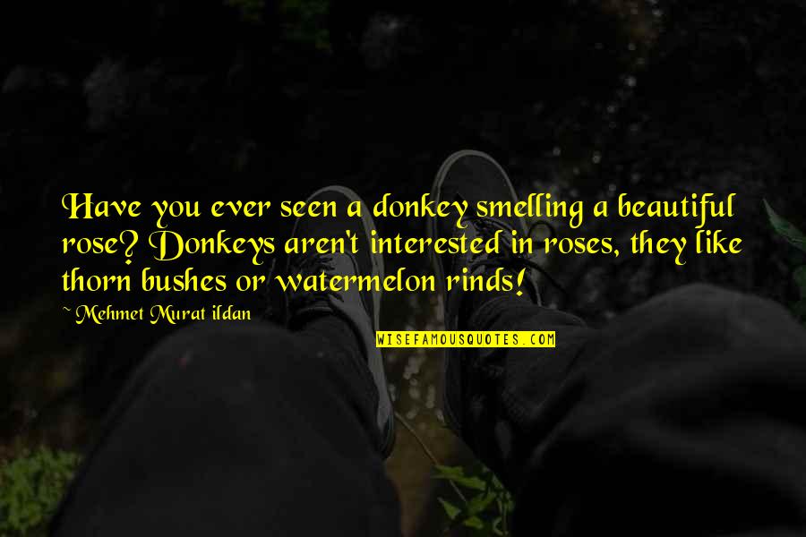 Be Like Rose Quotes By Mehmet Murat Ildan: Have you ever seen a donkey smelling a