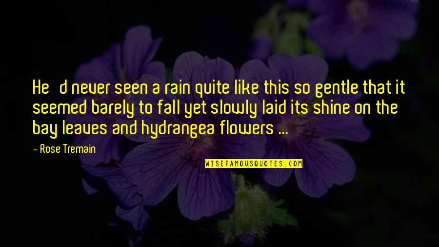 Be Like Rose Quotes By Rose Tremain: He'd never seen a rain quite like this