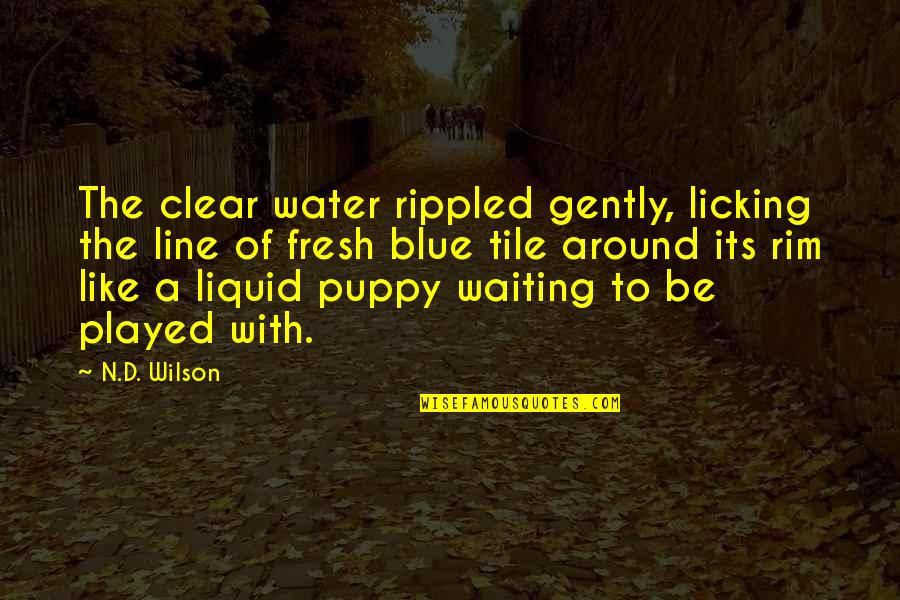 Be Like Water Quotes By N.D. Wilson: The clear water rippled gently, licking the line