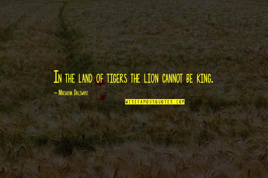 Be Lion Quotes By Matshona Dhliwayo: In the land of tigers the lion cannot Be Lion Quotes By Matshona Dhliwayo: In the land of tigers the lion cannot