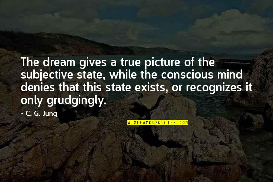 Be More Conscious Quotes By C. G. Jung: The dream gives a true picture of the