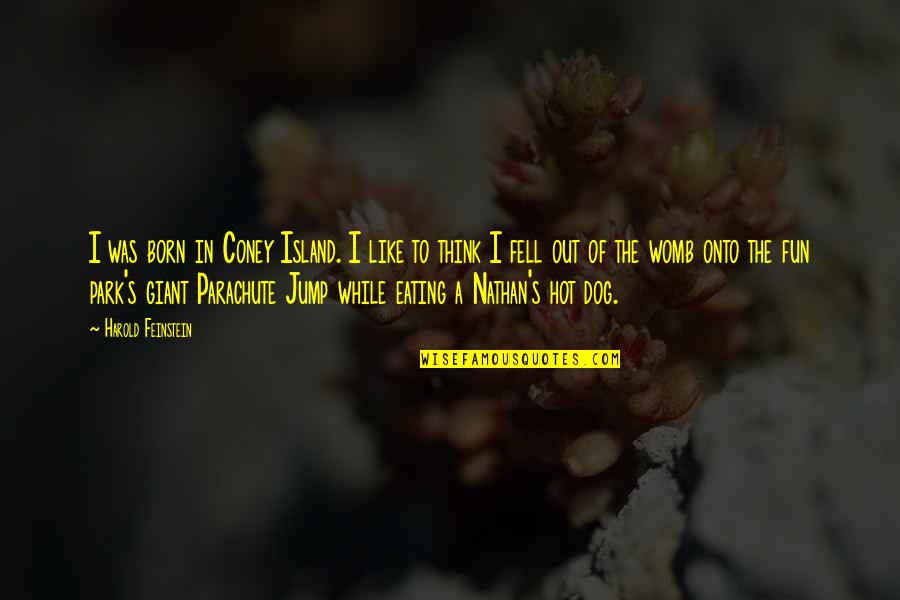 Be More Dog Quotes By Harold Feinstein: I was born in Coney Island. I like Be More Dog Quotes By Harold Feinstein: I was born in Coney Island. I like