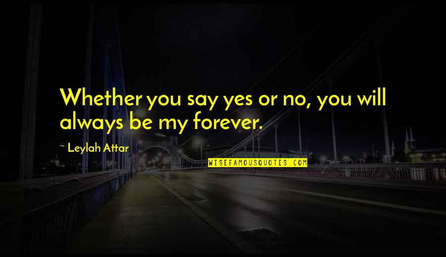 Be My Forever Quotes By Leylah Attar: Whether you say yes or no, you will