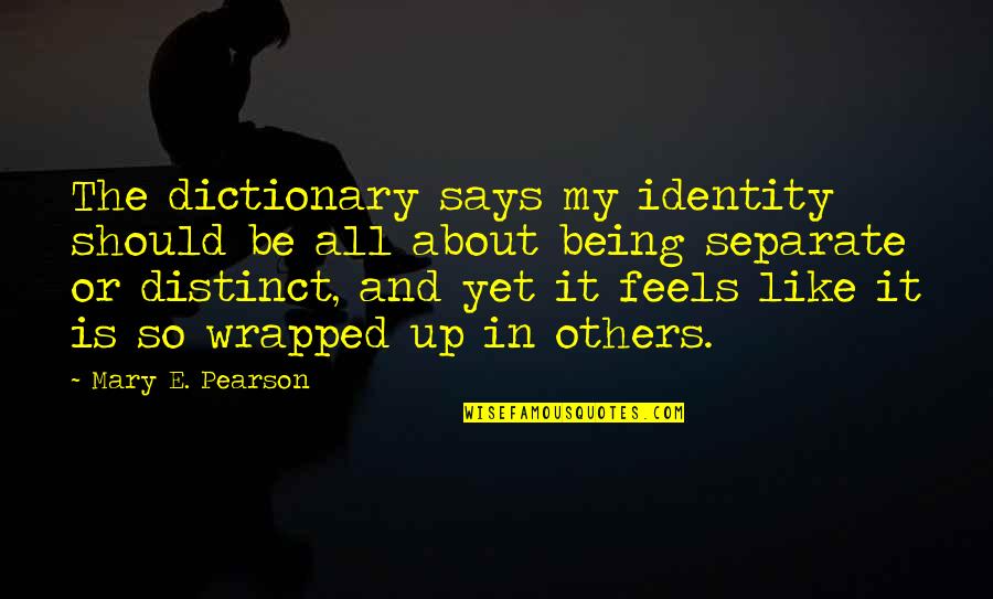 Be My Friends Quotes By Mary E. Pearson: The dictionary says my identity should be all