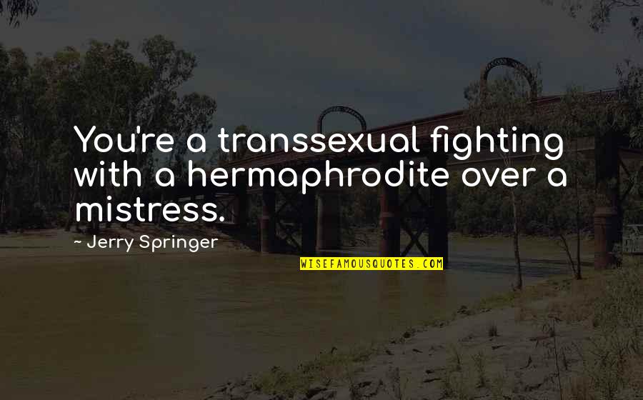 Be My Mistress Quotes By Jerry Springer: You're a transsexual fighting with a hermaphrodite over
