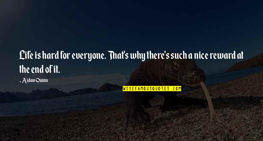 Be Nice To Everyone Quotes By Aidan Quinn: Life is hard for everyone. That's why there's