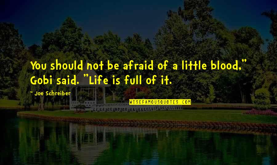 Be Not Afraid Of Life Quotes By Joe Schreiber: You should not be afraid of a little