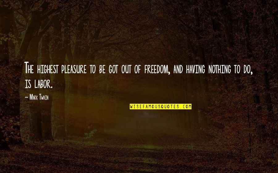 Be Nothing Quotes By Mark Twain: The highest pleasure to be got out of