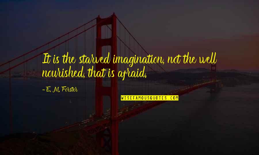 Be Nourished Quotes By E. M. Forster: It is the starved imagination, not the well