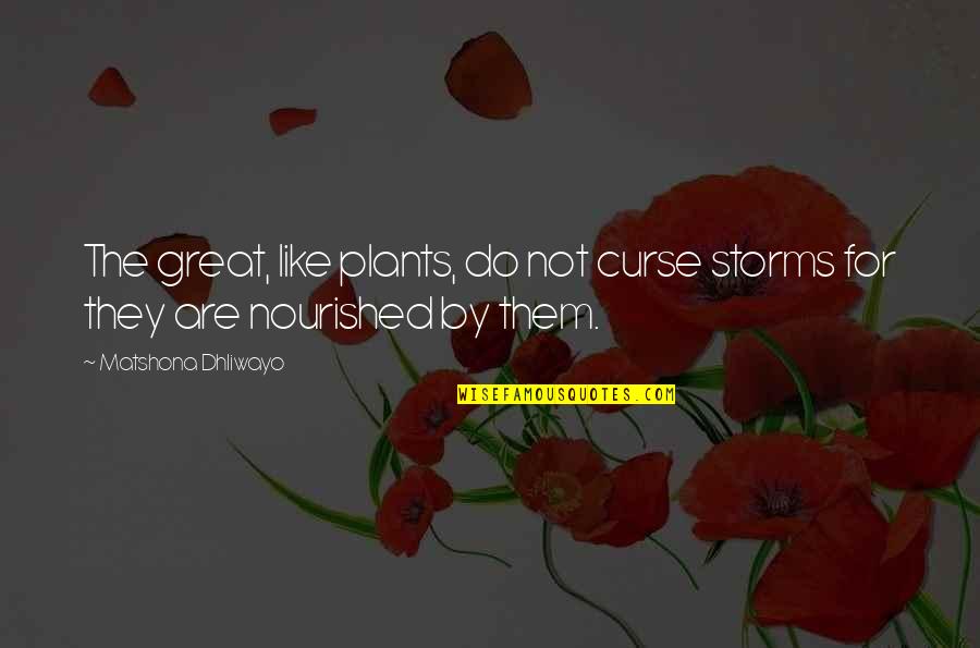 Be Nourished Quotes By Matshona Dhliwayo: The great, like plants, do not curse storms Be Nourished Quotes By Matshona Dhliwayo: The great, like plants, do not curse storms